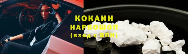 сатива Осинники