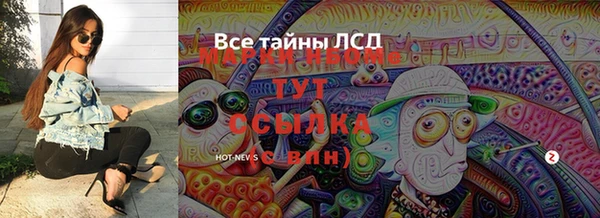 сатива Осинники