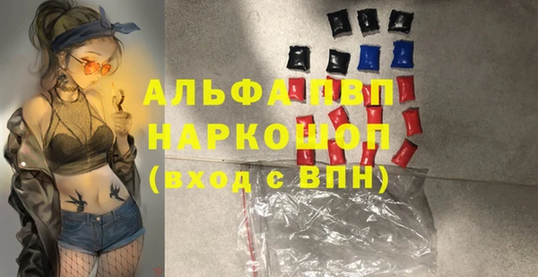 прущие грибы Переславль-Залесский