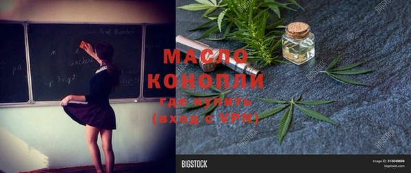 сатива Осинники