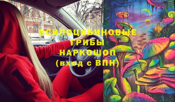 прущие грибы Переславль-Залесский