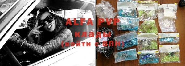 сатива Осинники