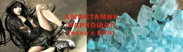 прущие грибы Переславль-Залесский