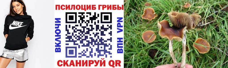 Псилоцибиновые грибы мухоморы  Купить где  Ивантеевка 